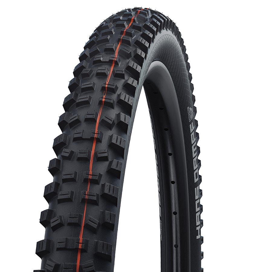 Schwalbe Hans Dampf Tire – Thunder Mountain Bikes
