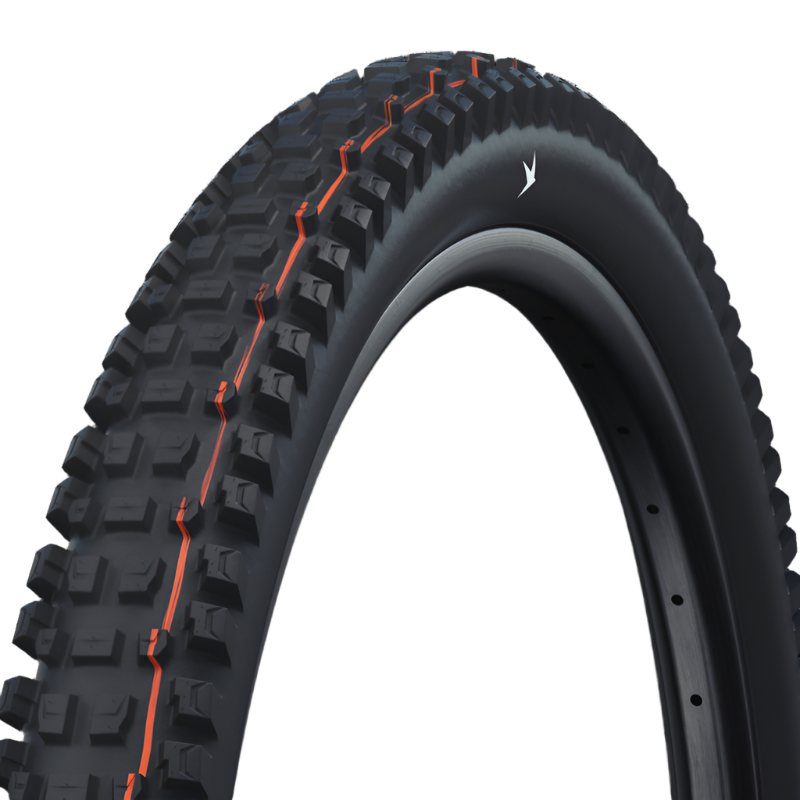 Albert Radial Tire