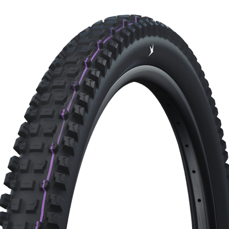 Albert Radial Tire