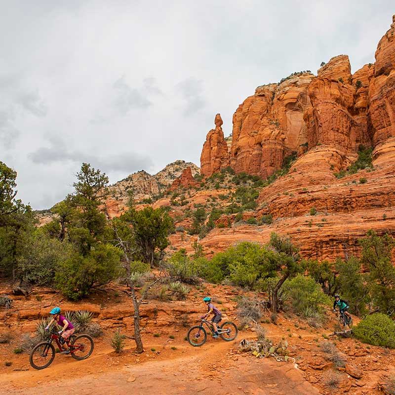group mountain bike beginner trail ride in sedona