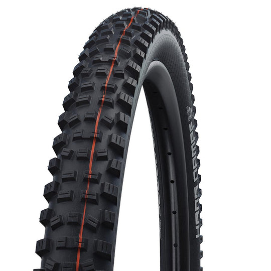 Hans Dampf Tire