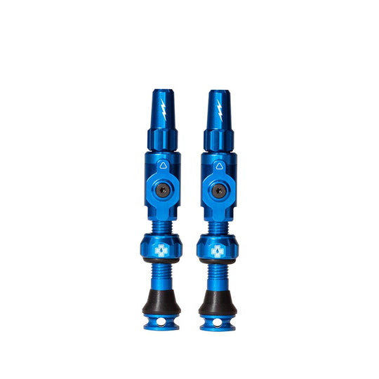 Big Bore Lite Valve Stems