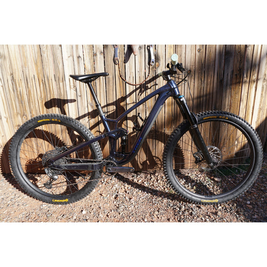 Fuel EX 7 29" - Medium