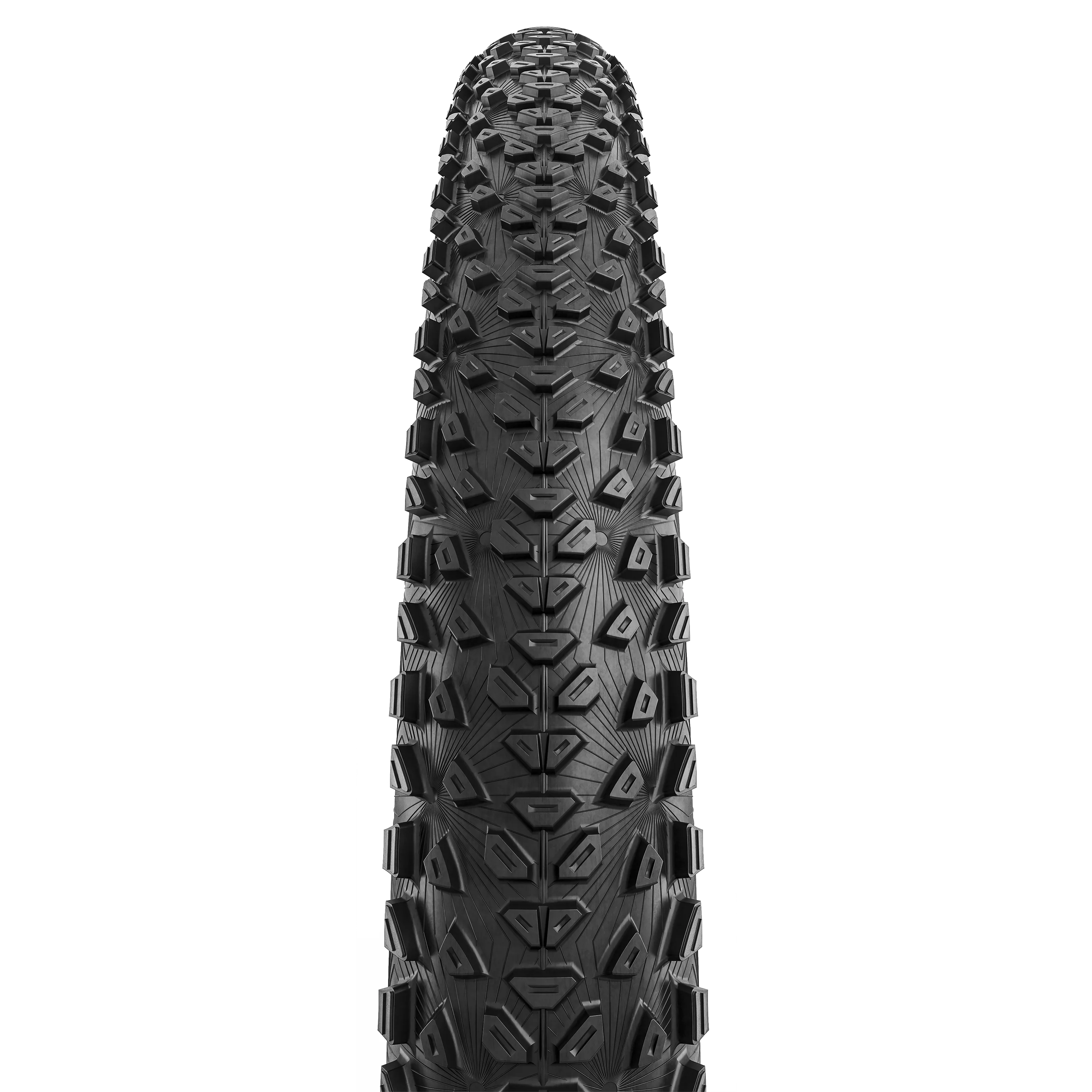 標本 Cameroon Dynoryctes truncaticollis 38mm Tru-Maxx - Deburring Wheel: 6