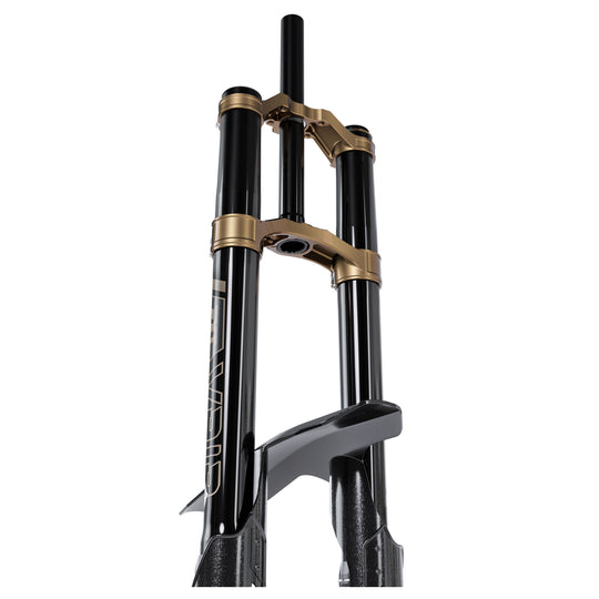 Vaia Fork