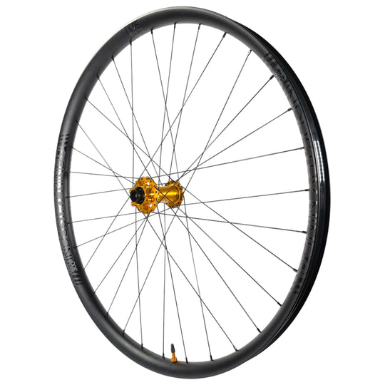 Hydra2 DH S Front Wheel