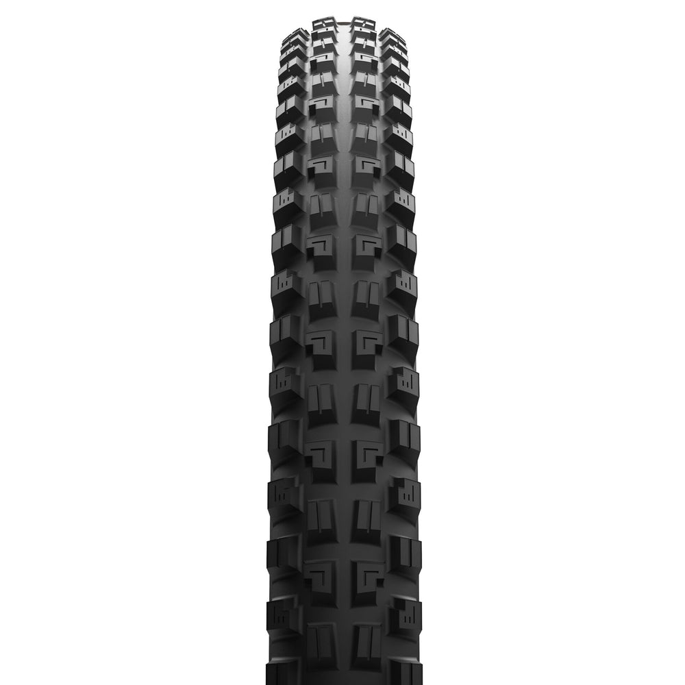 Minion DHX Tire