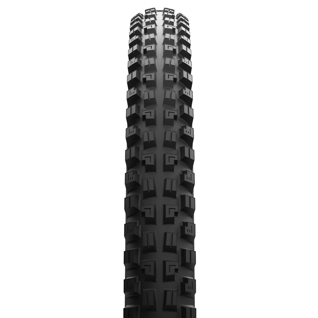 Minion DHX Tire