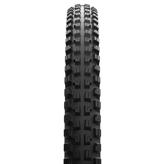 Minion DHX Tire