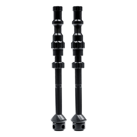 Exo-Core Tubeless Valves