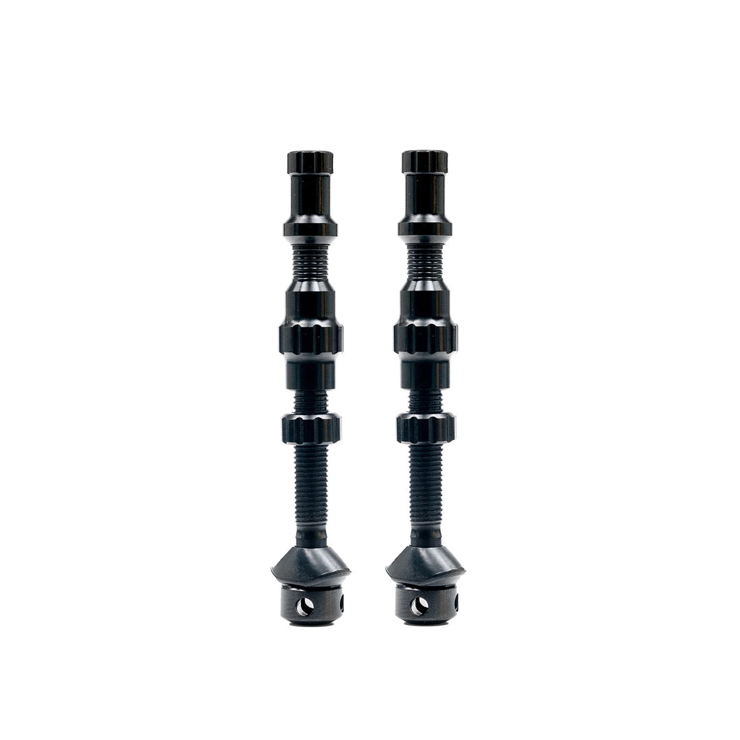 Exo-Core Tubeless Valves