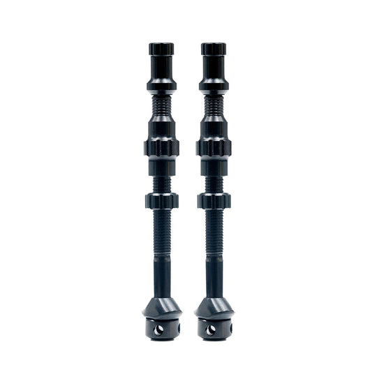 Exo-Core Tubeless Valves