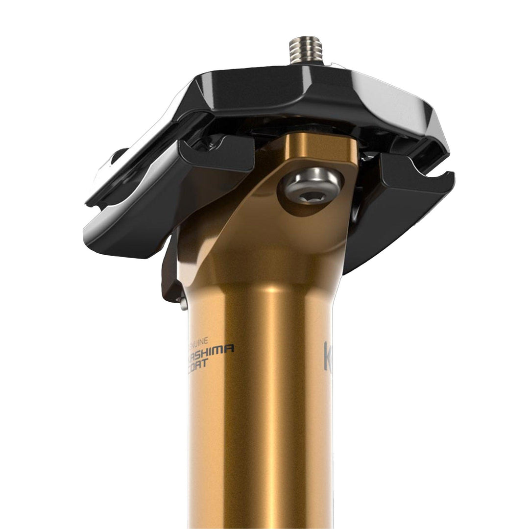 Fox 2025 Transfer Factory Dropper Post – Thunder Mountain Bikes