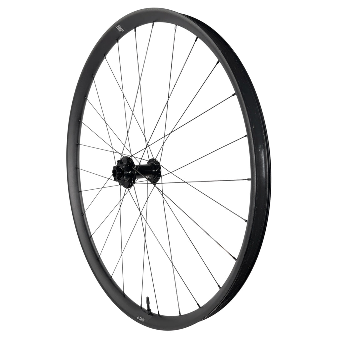 Black mountain bike wheel with 29-inch rim, disc brake hub, and straight-pull spokes for trail riding
