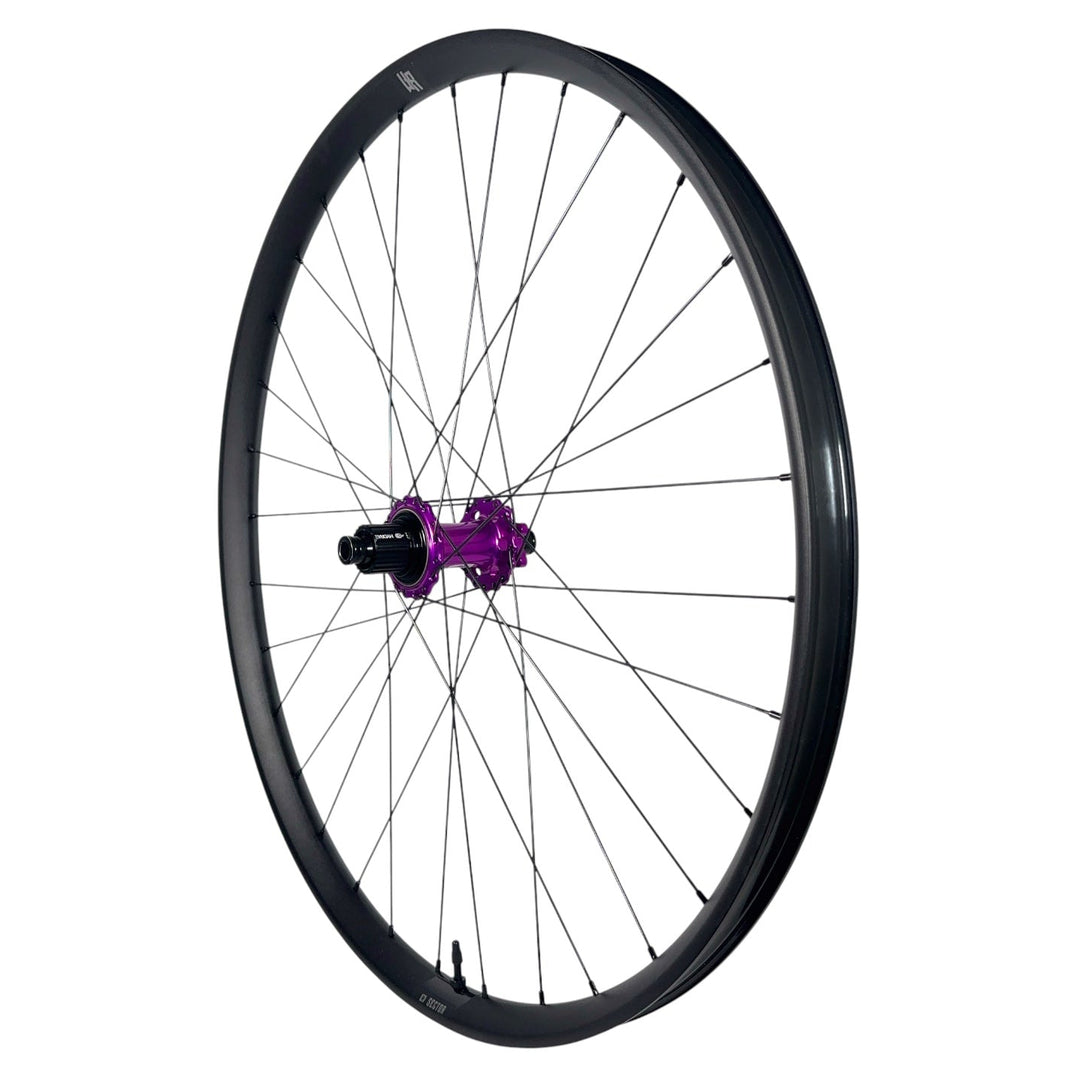 Hydra2 Sector Classic AL Rear Wheel