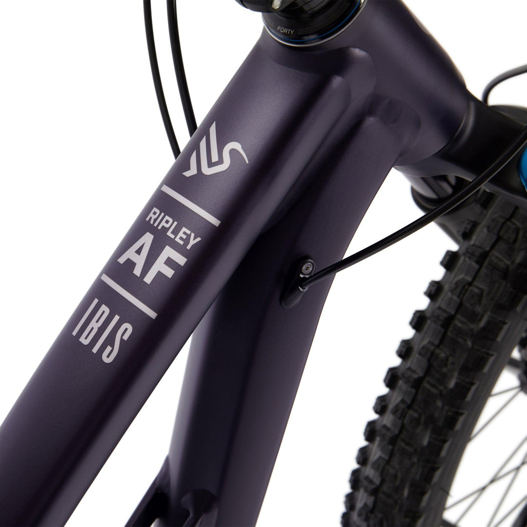 Ibis 2024 Ripley AF - Thunder Mountain Bikes