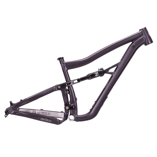 Ibis 2024 Ripley AF - Thunder Mountain Bikes