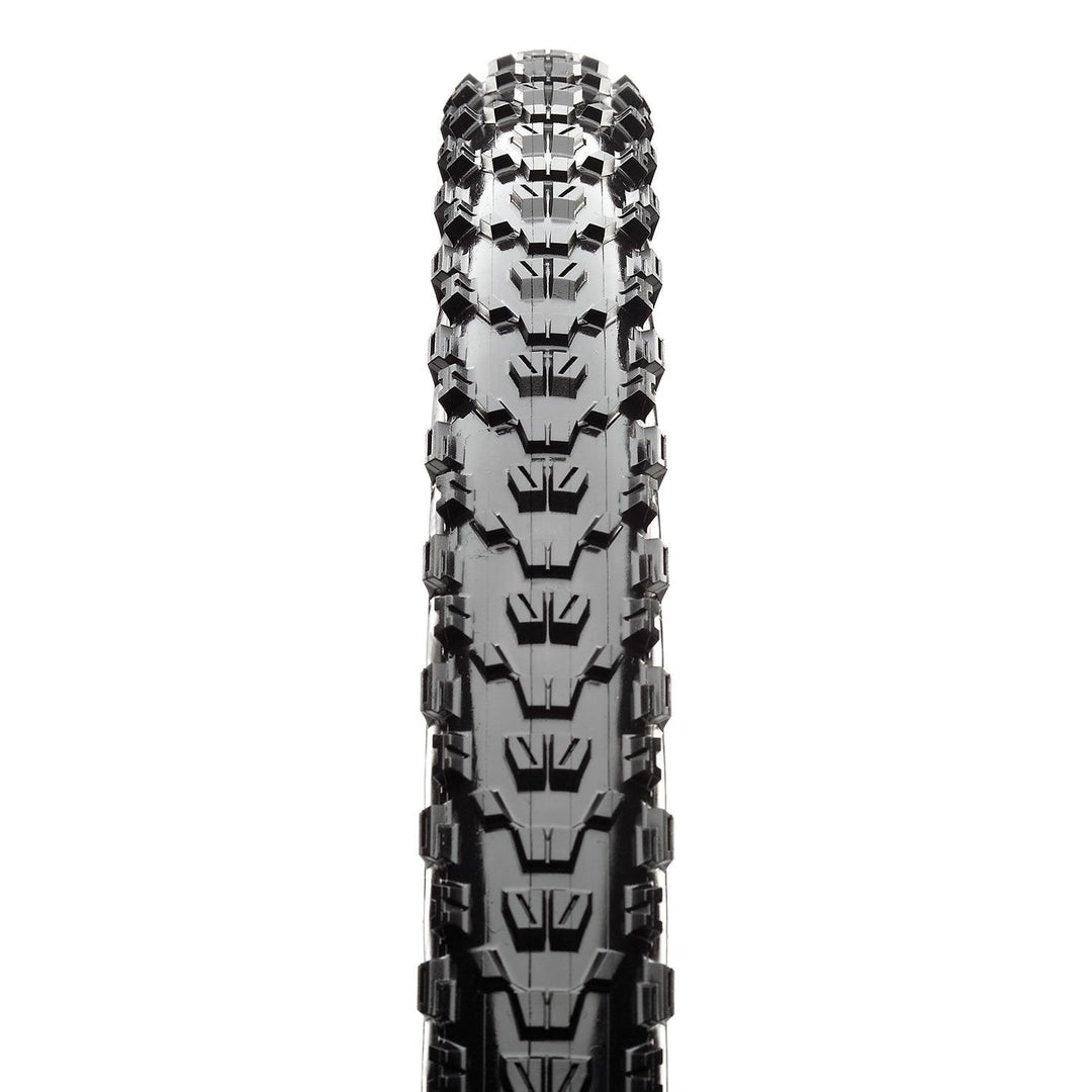 Maxxis Ardent Tire - Thunder Mountain Bikes